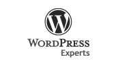 criação de sites em wordpress